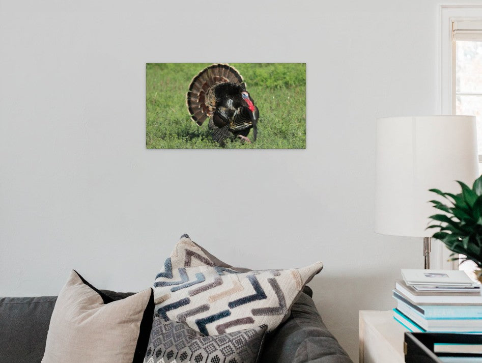 The Turkey Gobbler