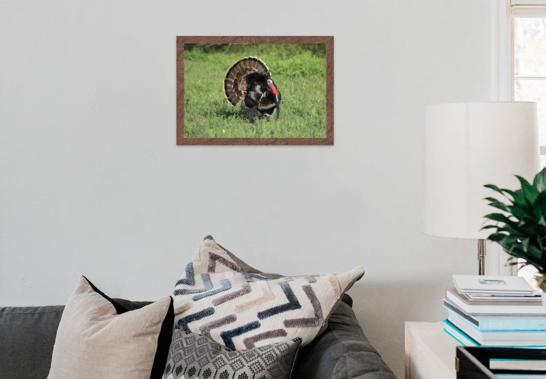 The Turkey Gobbler