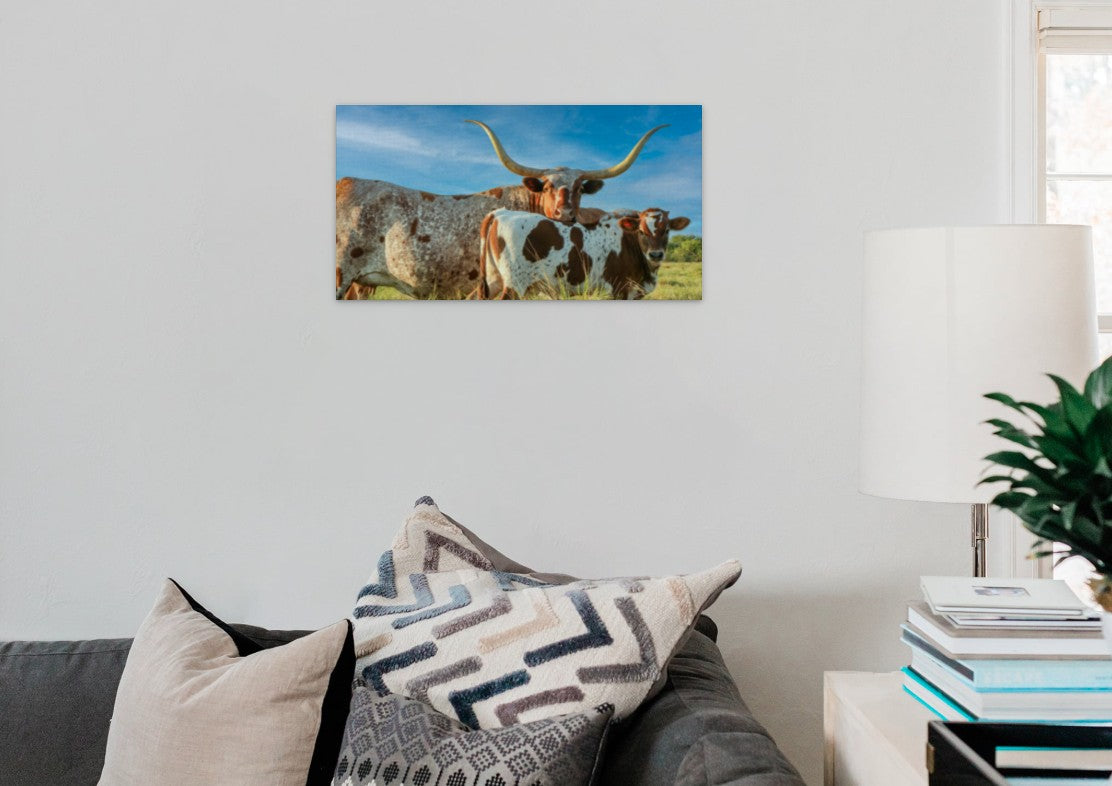 The Texas Longhorn