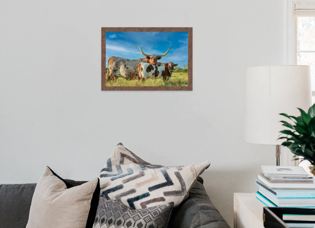 The Texas Longhorn