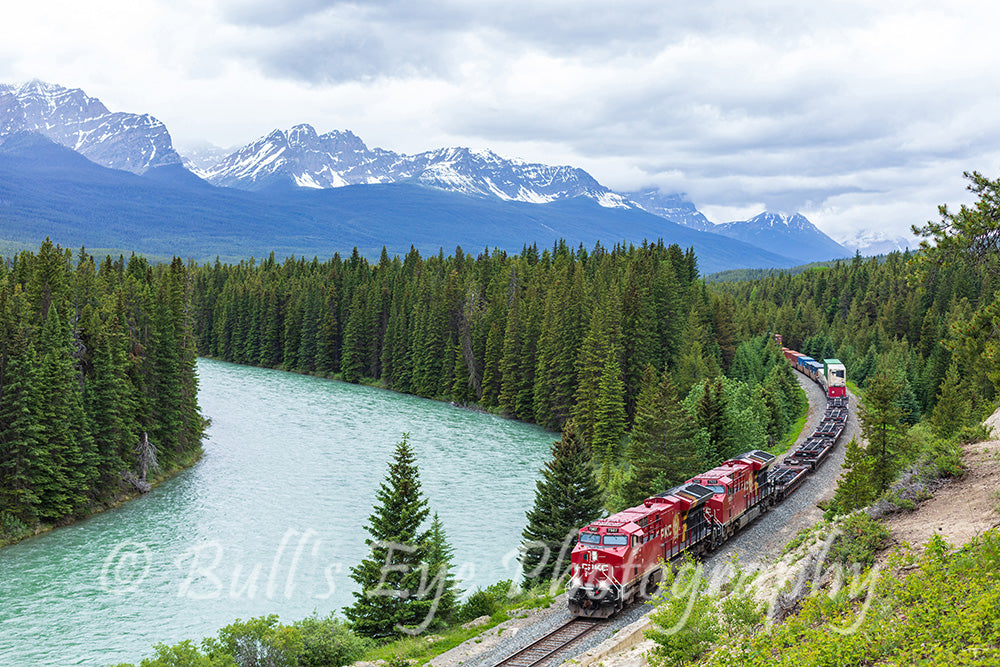Morant's Curve