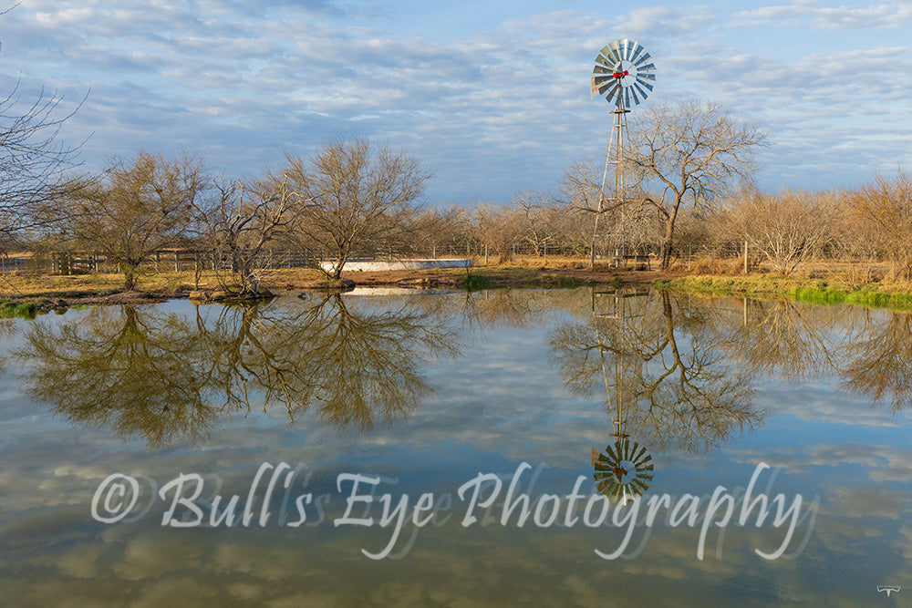 Texas Landscape