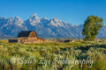 John Moulton Barn