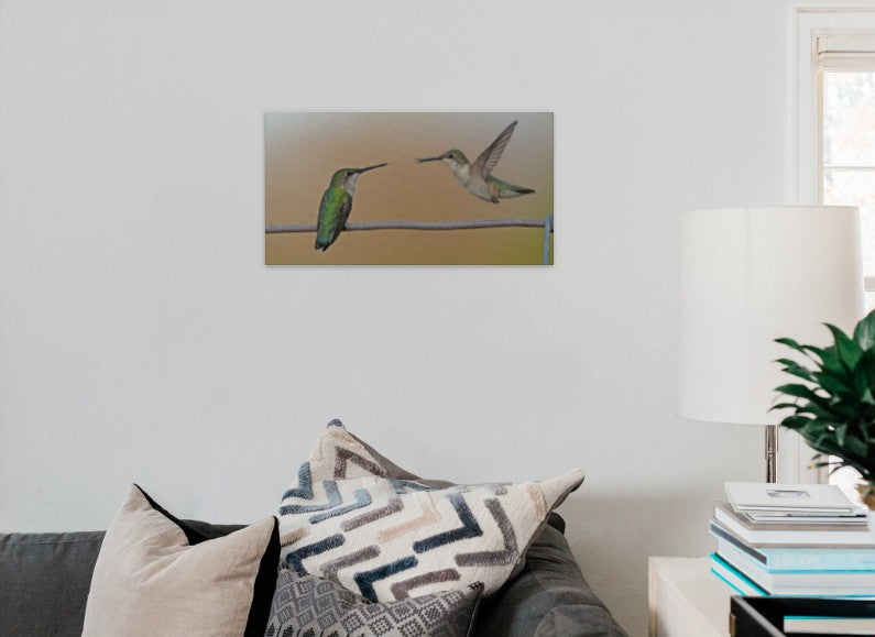 Two Hummingbirds Playing Around