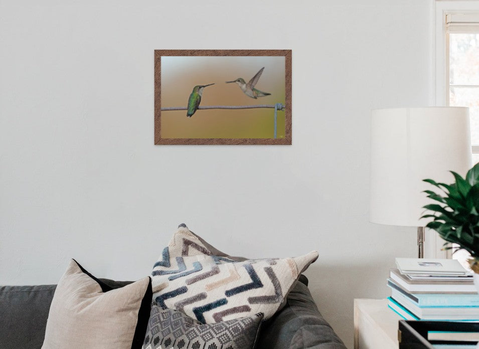 Two Hummingbirds Playing Around