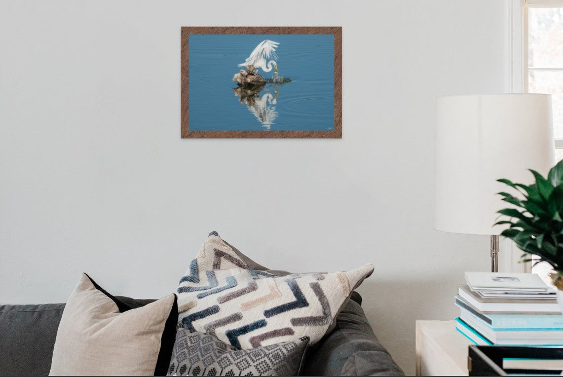 Fresh Catch of the Day!